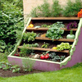 Solutions for Small Space Gardening Challenges