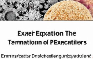 The Importance of Exfoliation: Types and Techniques