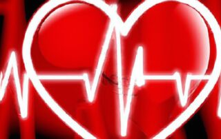 The Importance of Cardiovascular Health and How to Improve It